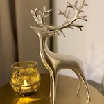 Reindeer Dream - *