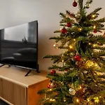 Reindeer Dream -