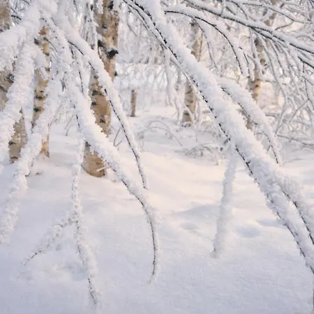 Reindeer Dream - Appartement Rovaniemi