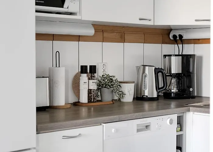 Reindeer Dream - * Rovaniemi