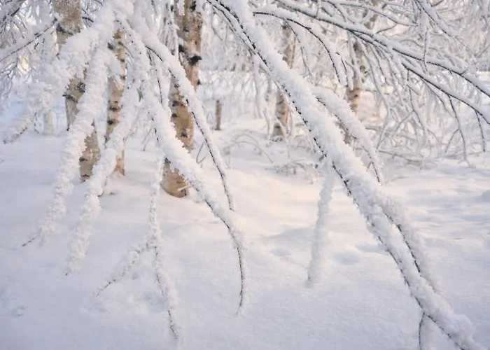 Reindeer Dream - Appartement Rovaniemi